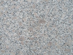 G383 Pearl Flower Grey Granite Most Popular Tile